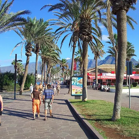 Parque Santiago I With Heated Pool, Sea View, 50m To The Sea, Terrace *